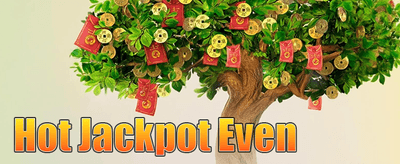 အပတ်စဉ် VIP ငွေပြန်အမ်းမှု promotion banner